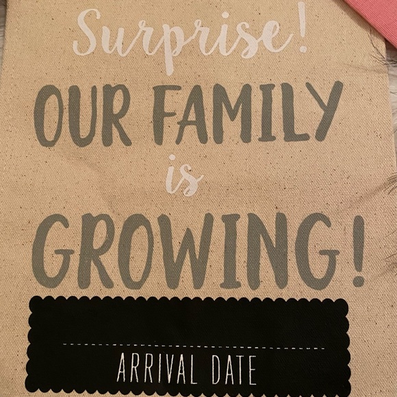 HOST PICK❤️❤️ MP Pet Bandana and Ann. Banner:2 NWT - Picture 3 of 4